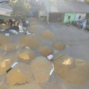 WhatsApp_Image_2025-12-09_at_5.01.55_PM_1_original